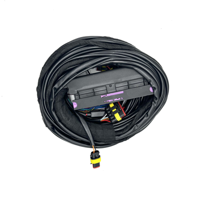 4 กระบอกสูบ ECU Multipoint ชุดฉีดเชื้อเพลิง 56 ขา CNG LPG ชุดสายไฟอัตโนมัติ
