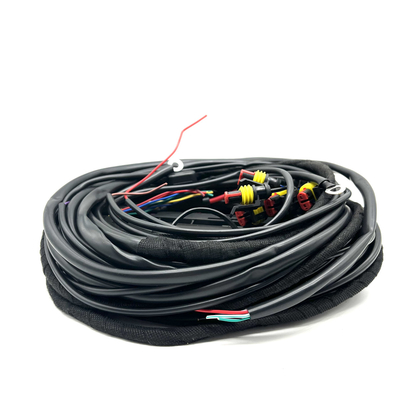 56 Pin ECU สายรัด Multipoint CNG LPG เชื้อเพลิง ฉีด Connection ชุดสายไฟ