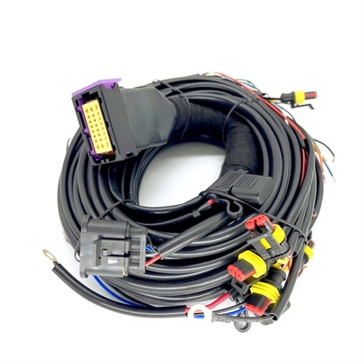 CNG LPG Sequential ฉีด 24 พินสายไฟสำหรับรถยนต์ 4 สูบ ECU