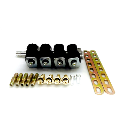 LN-LIG1 LPG CNGรางหัวฉีดสำหรับ4กระบอก2โอห์มหรือ3โอห์มสีดำGPL GNVรางหัวฉีด