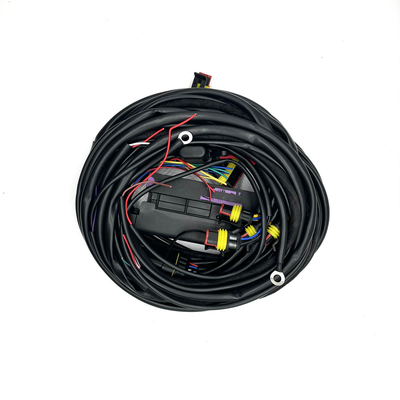 4 กระบอกสูบ ECU Multipoint ชุดฉีดเชื้อเพลิง 56 ขา CNG LPG ชุดสายไฟอัตโนมัติ