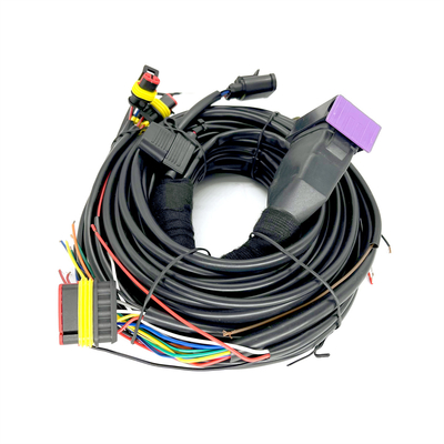 CNG LPG Sequential ฉีด 24 พินสายไฟสำหรับรถยนต์ 4 สูบ ECU