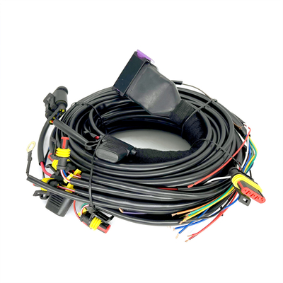 CNG LPG Sequential ฉีด 24 พินสายไฟสำหรับรถยนต์ 4 สูบ ECU