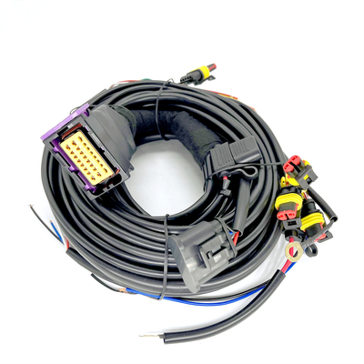 CNG LPG Sequential ฉีด 24 พินสายไฟสำหรับรถยนต์ 4 สูบ ECU