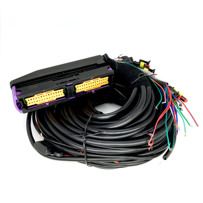 Multipoint CNG LPG ชุดสายไฟยานยนต์ 56 พินสำหรับ 6 สูบ ECU