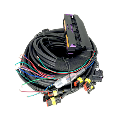 Multipoint CNG LPG ชุดสายไฟยานยนต์ 56 พินสำหรับ 6 สูบ ECU